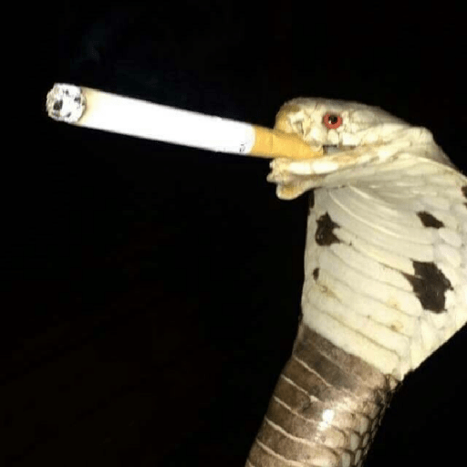 Emotional snake 12