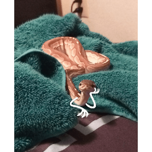 Emotional snake 9