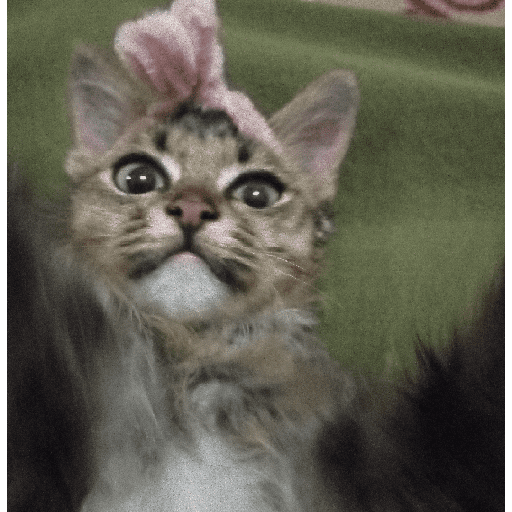 Kucing 28