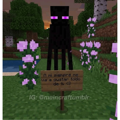 Minecraft  1