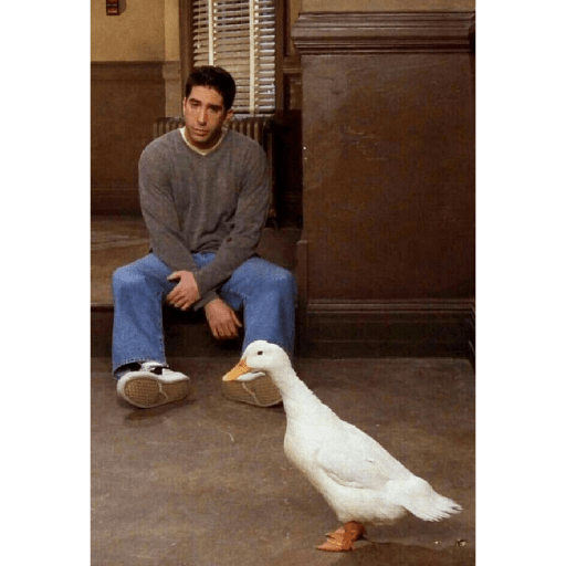 Friends 20