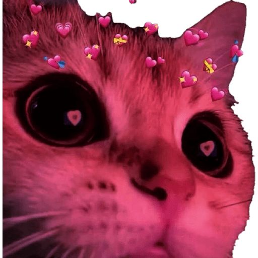 Meu pau  7