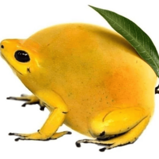 Mequieromorirayuda 18