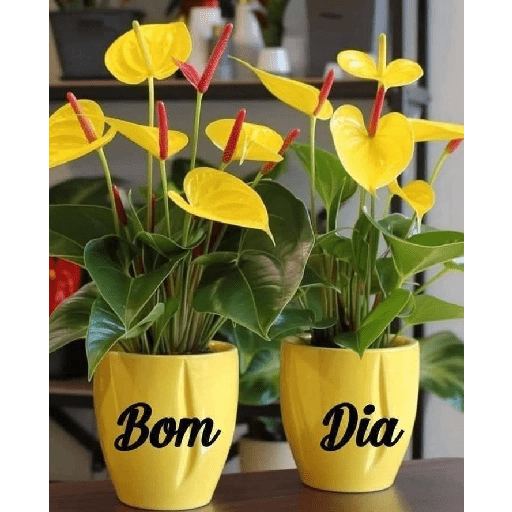 Figurinhas misturadas 11