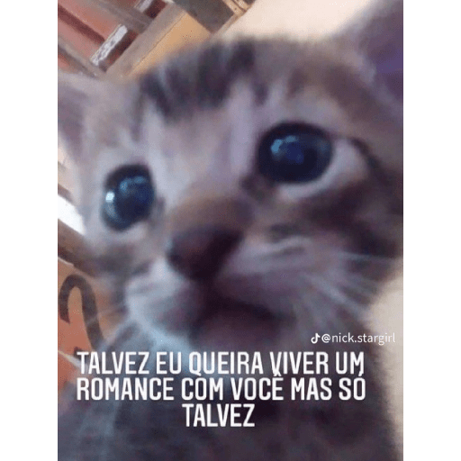 Kiko 2