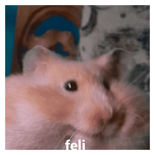 Random cursed funny shitpost 6