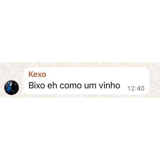 Raça stickers 2025 28