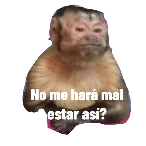 Enojo 7