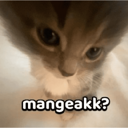 Kata kata  5