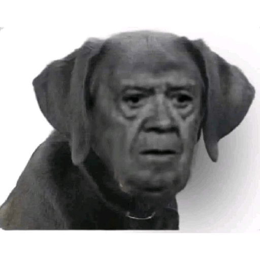 Memes2.0 19