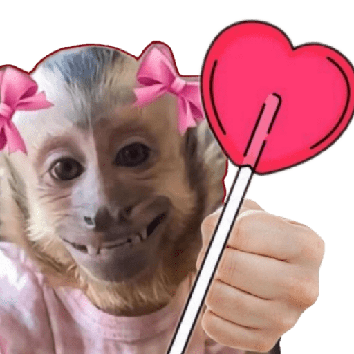 Memes Paleta 👅🍭 1