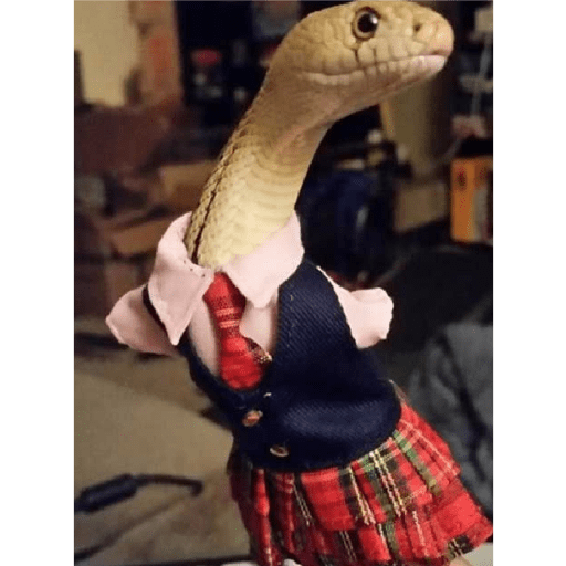 Emotional snake 5