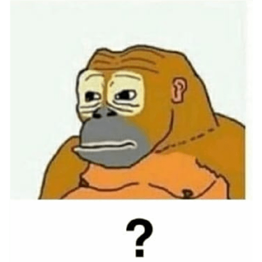 M o n k i 29