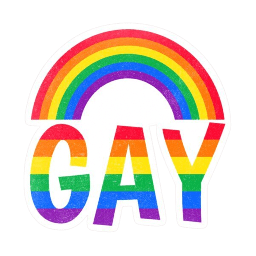 Pride LGTBIQ+ 🏳️‍🌈 8