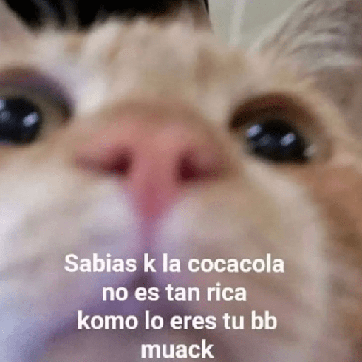 Mix Shitpost 😎🤙 2 6