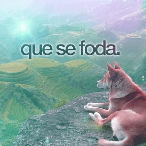 ALEATÓRIOS  5