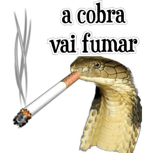 #memes 4
