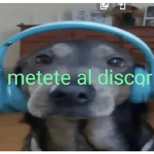 Memes graciosos 2023 3