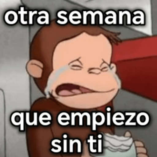Lunes 6