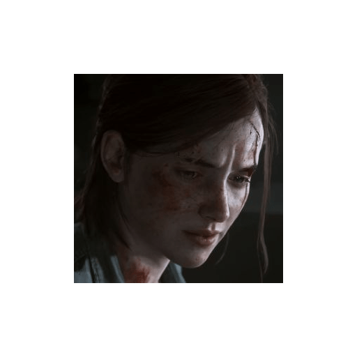 Ellie Williams TLOU 2 17