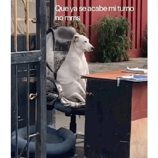 Memes graciosos 2023 19