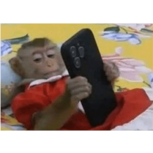 M o n k i 25