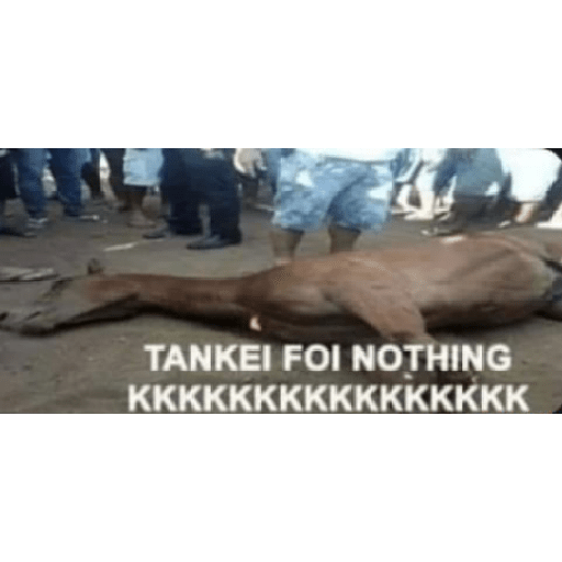 Ja tenho 439 figurinhas lol 25