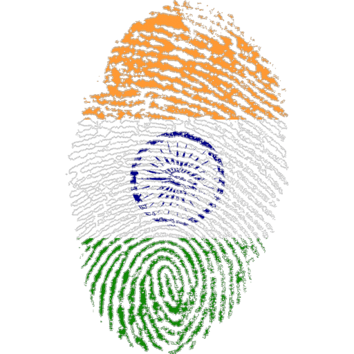 Independence Day 8