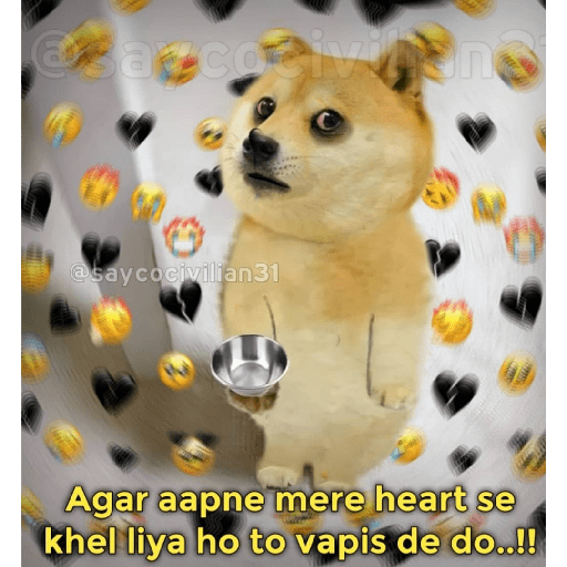 Doge hindi 3 6