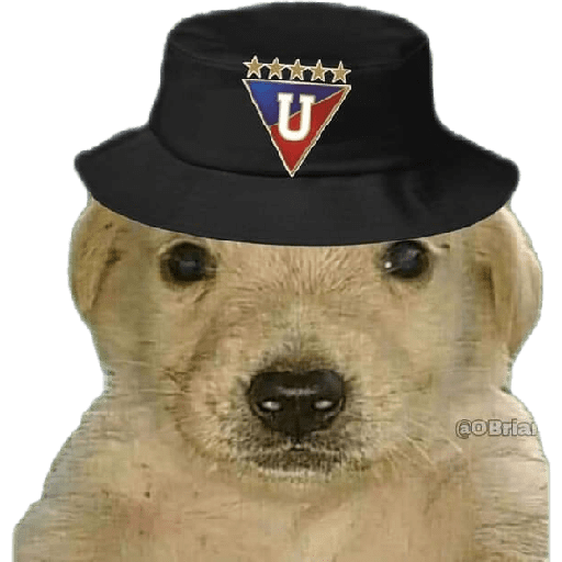Campeón hay uno solo 30