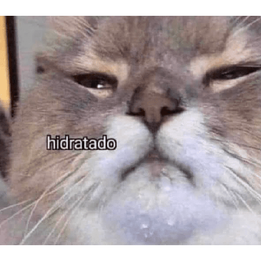 Animales Mensos 2.0 28