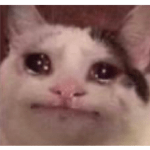 Me woha matar xdxd 30