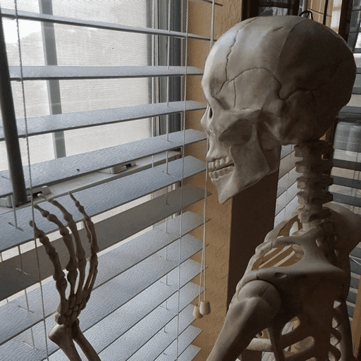 💀 skelly moods 💀 10