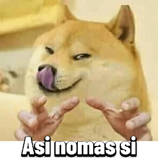 Animales graciosos 14