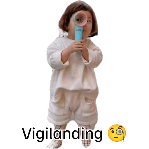 Lois 13
