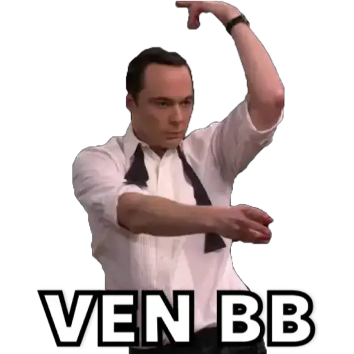 The Big bang theory 24
