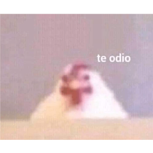 Vitorrrrr 9