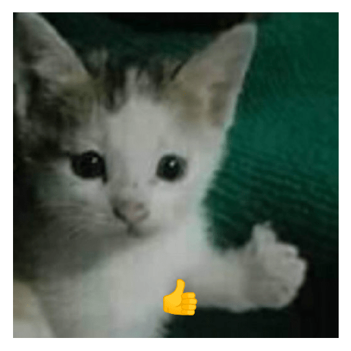 Amongus 19