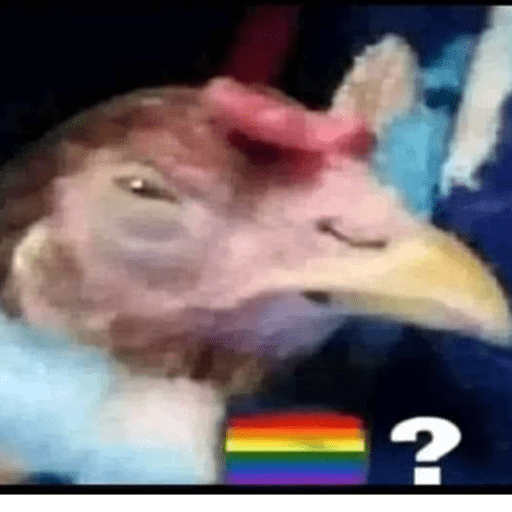 Meme 20