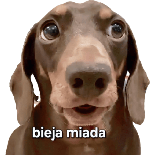 Animales Mensos 2.0 20