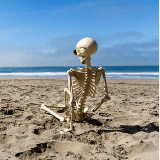💀 skelly moods 💀 14