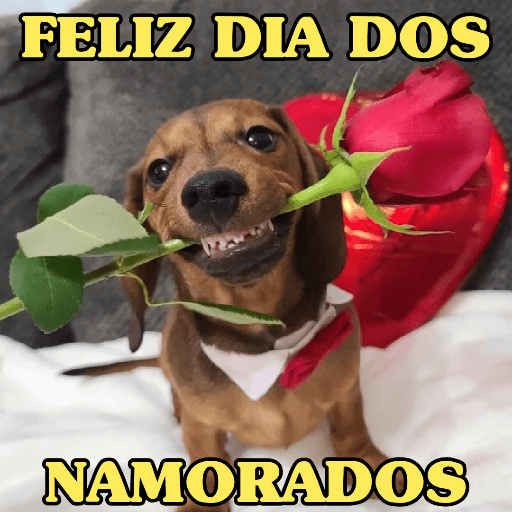 DIA DOS NAMORADOS 🥰 1