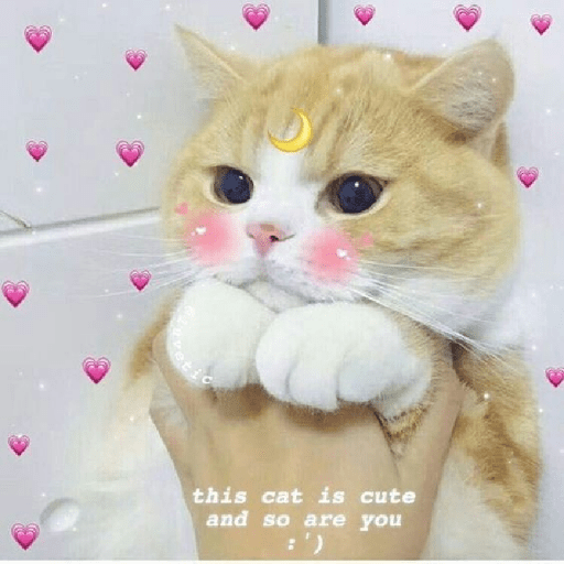 Uwu 13