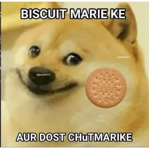 Doge hindi 3 1