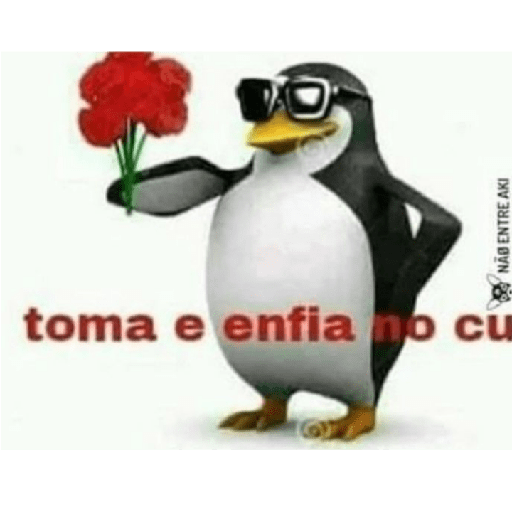 MC poze 8