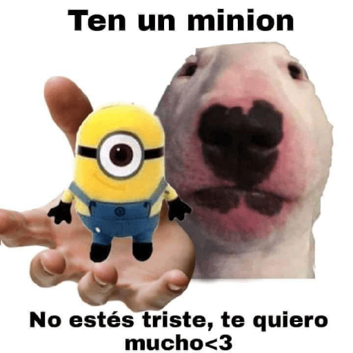 Minions 25