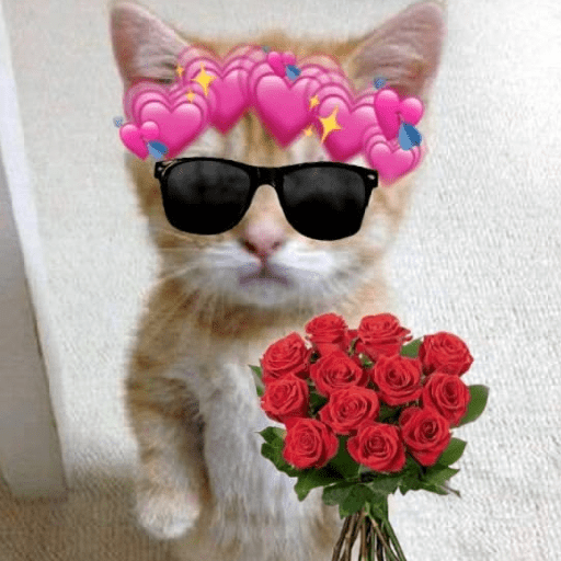 DIA DOS NAMORADOS 🥰 2