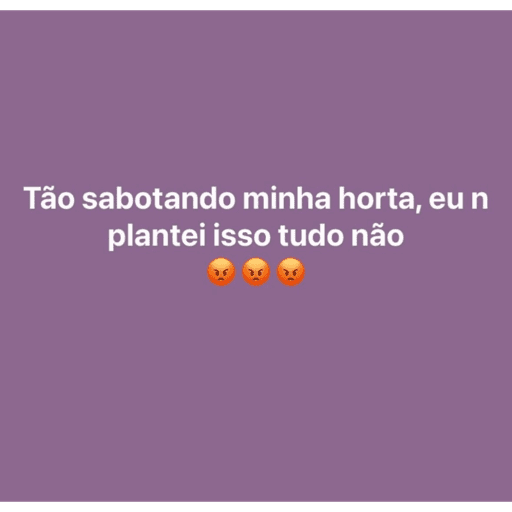 Frases 5