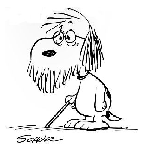 Snoopy 6