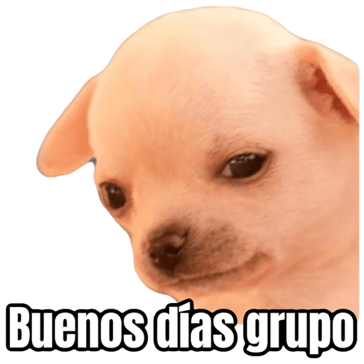 Perrito uwu 7